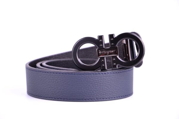 new style reversible and adjustable belt