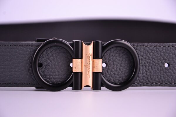 new style reversible and adjustable belt