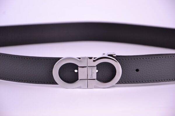 new style reversible and adjustable belt